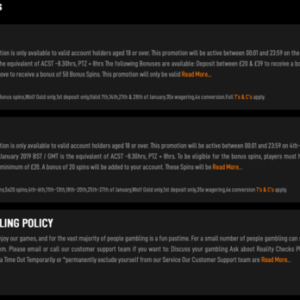 Black Spins Casino Promotions